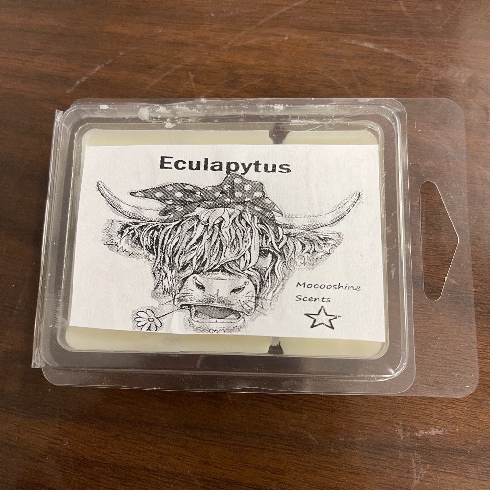 Wax melt bar (Eucalyptus) MB47